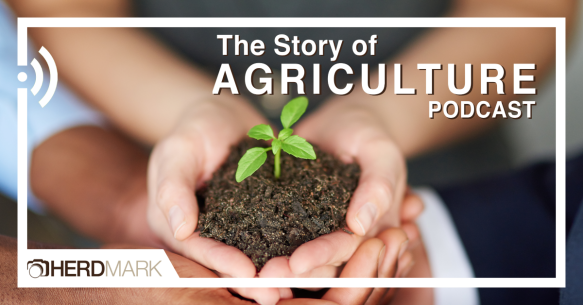the-story-of-agriculture-mark-jewell